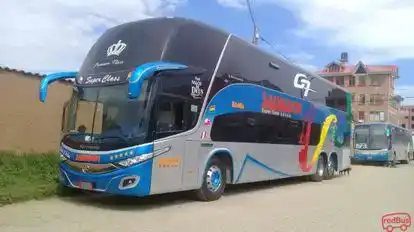 Transsalvador Bus-Front Image