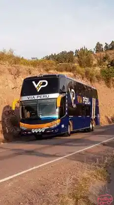 Megabus Bus-Side Image