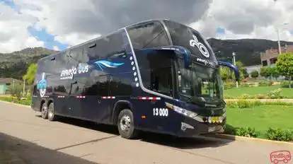 Grupo Megabus Bus-Side Image