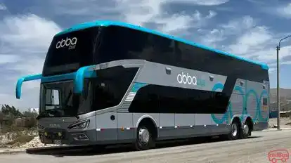 Abba Bus Bus-Front Image