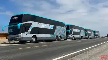Abba Bus Bus-Side Image