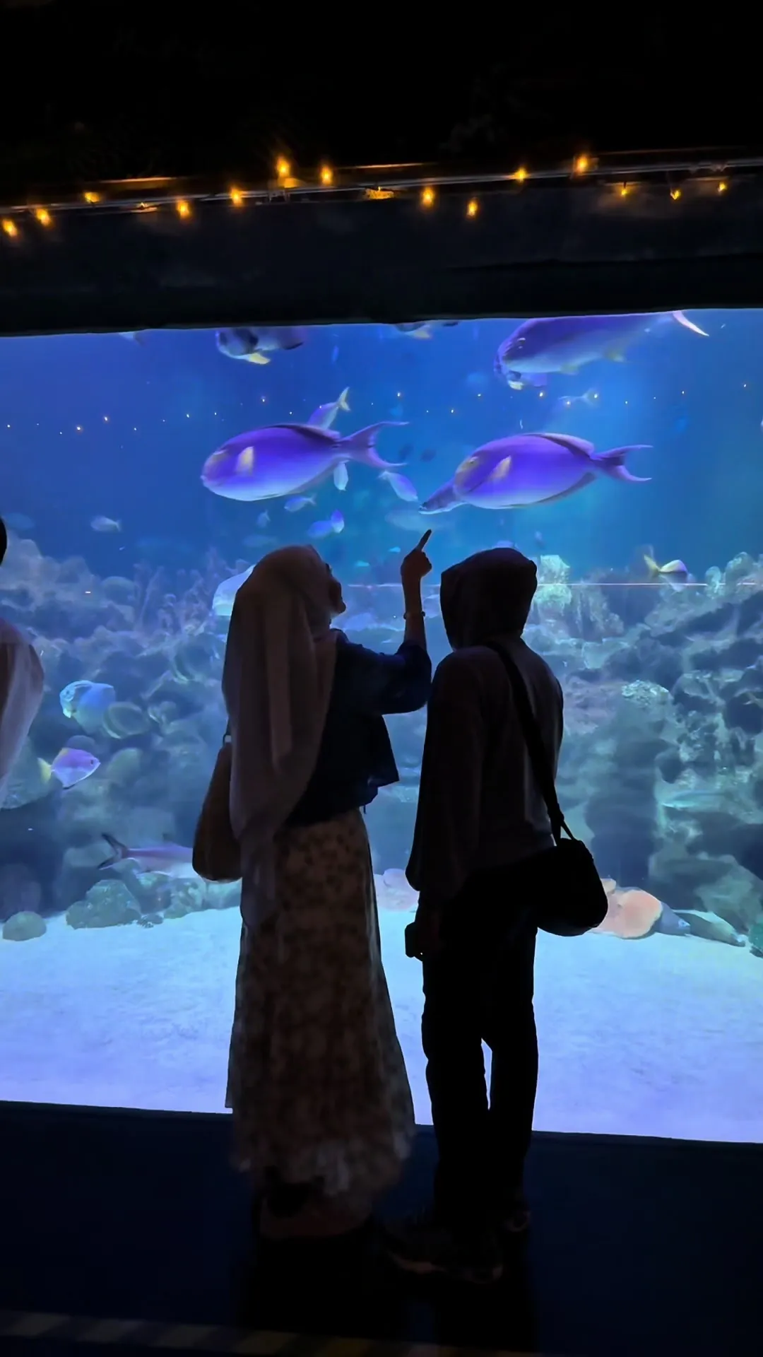 Merancang temu janji akuarium di Aquaria KLCC?