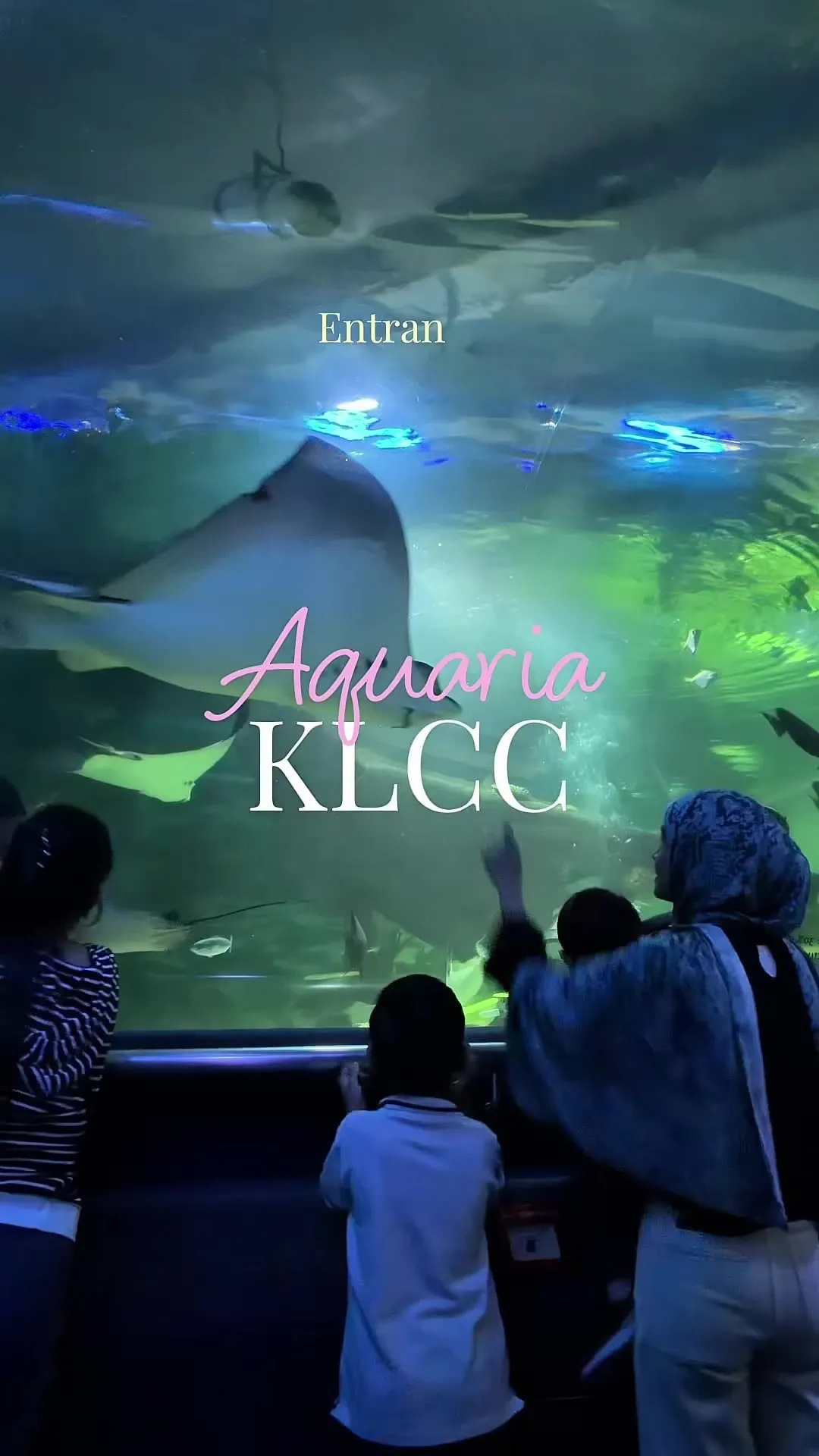 Menghabiskan hujung minggu di Aquaria KLCC