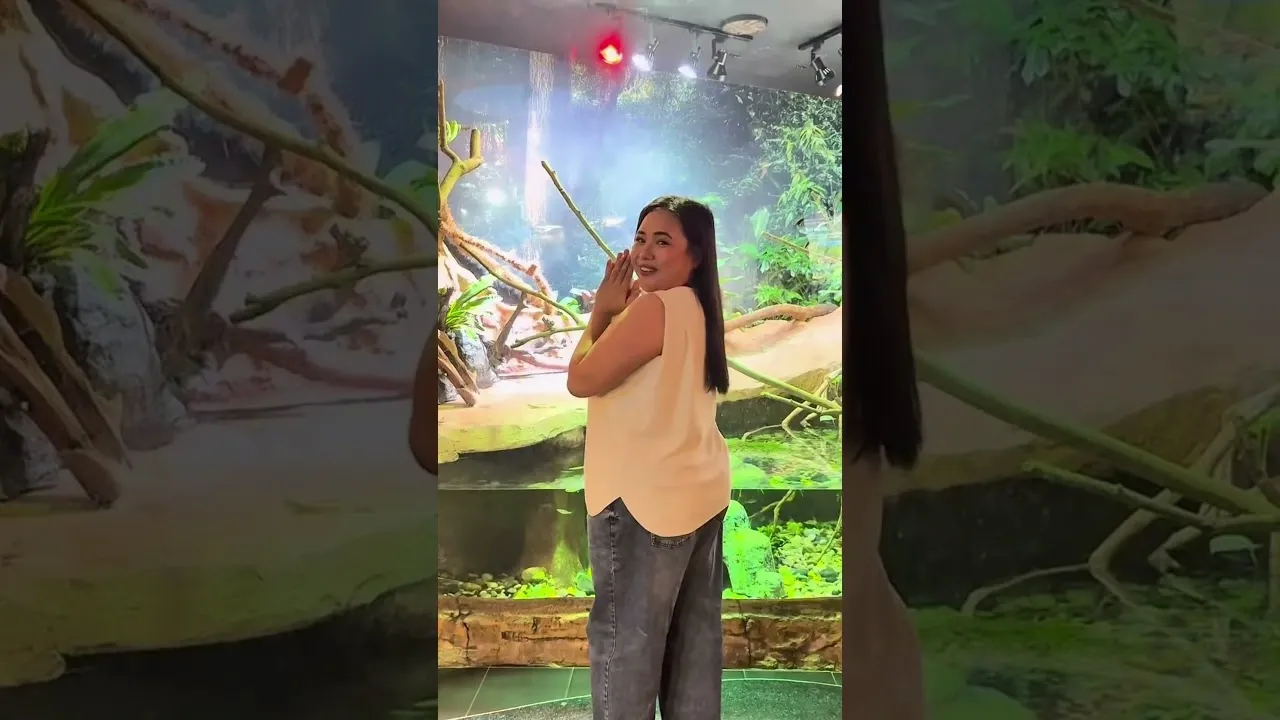 Aquaria KLCC | Perkara Yang Perlu Dilakukan | redBus Malaysia