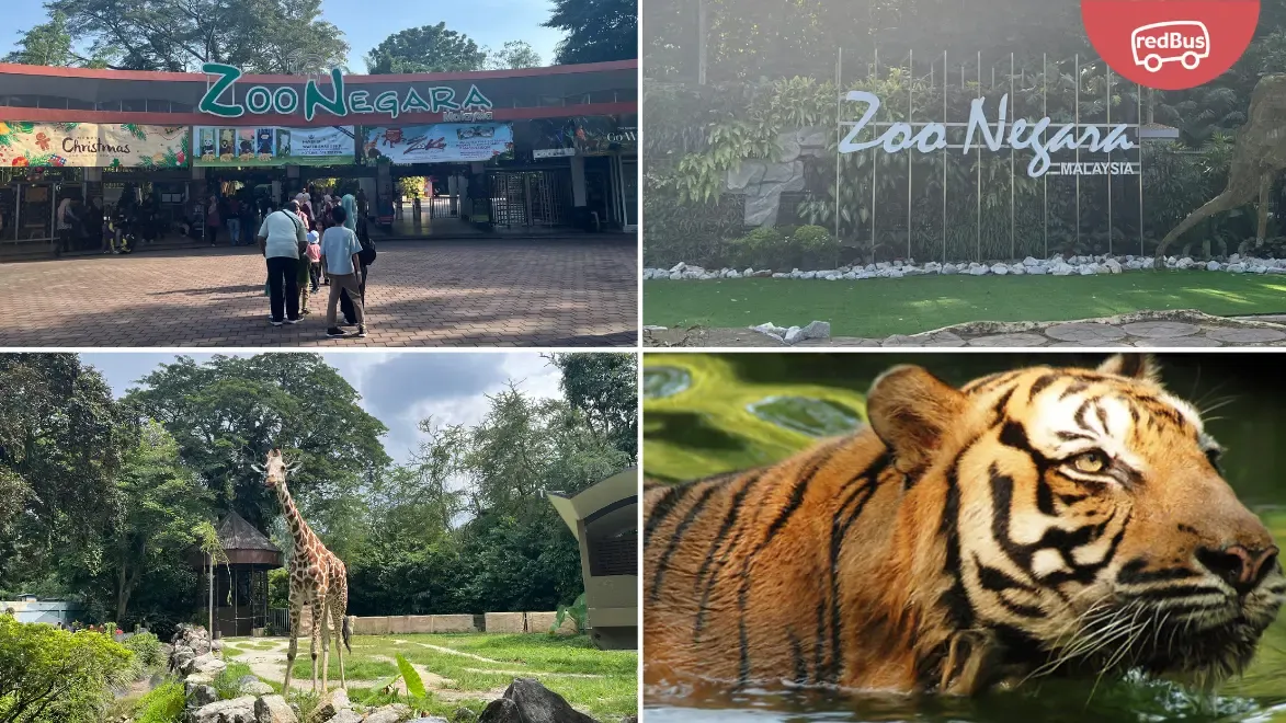 Zoo Negara Tickets on redBus 