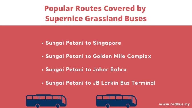 Supernice_grassland_buses