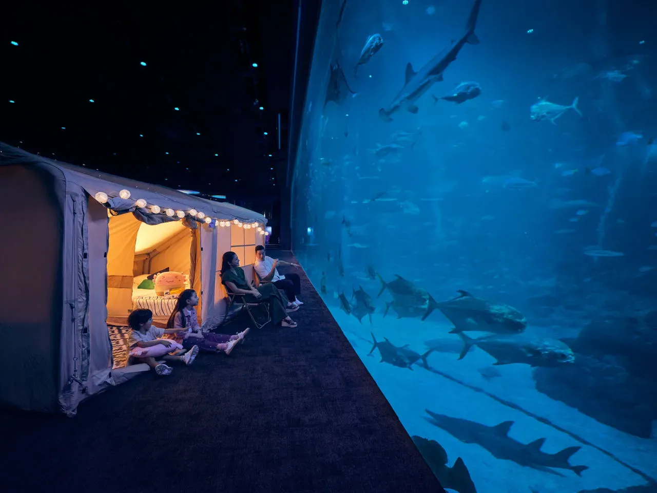 Singapore Oceanarium Activity - Ocean Dreams